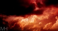 /album/natur/dsc-0093-jpg/
