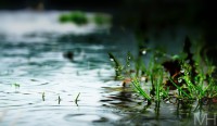 /album/natur/dsc-0203-jpg/