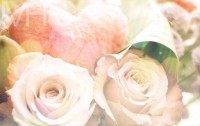 /album/produkter/a26236037-e0bym-jpg/