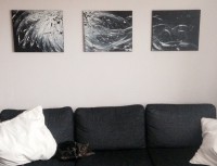 /album/illustration/a1273045-505712392859133-313502222-o-jpg/